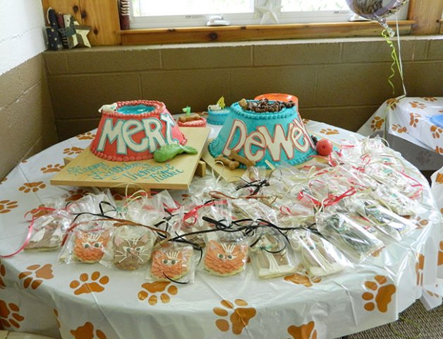 Cute dog and cat birthday party cakes!