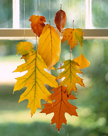 DIY Hanging Leaves
