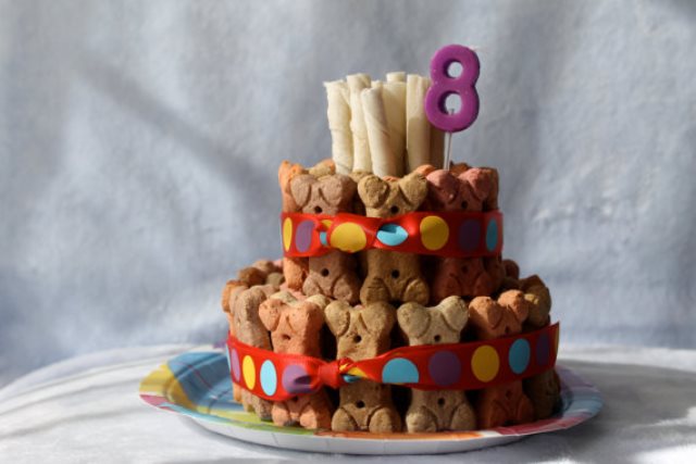 Dog biscuit cake for their birthday