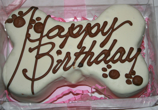 Dog bone birthday cake