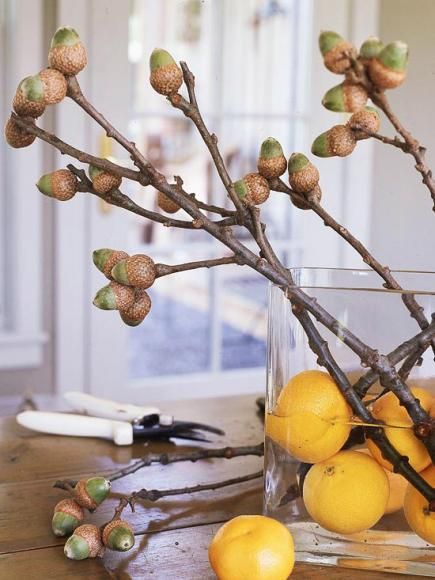 Love these nuts, branches and oranges for fall decor