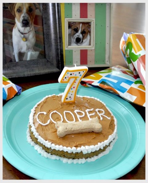 cute homemade dog birthday cake