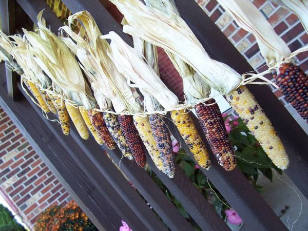 Decorative Corn Garland