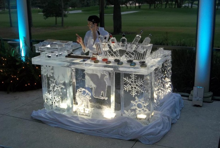 Cool ice sculpture bar!