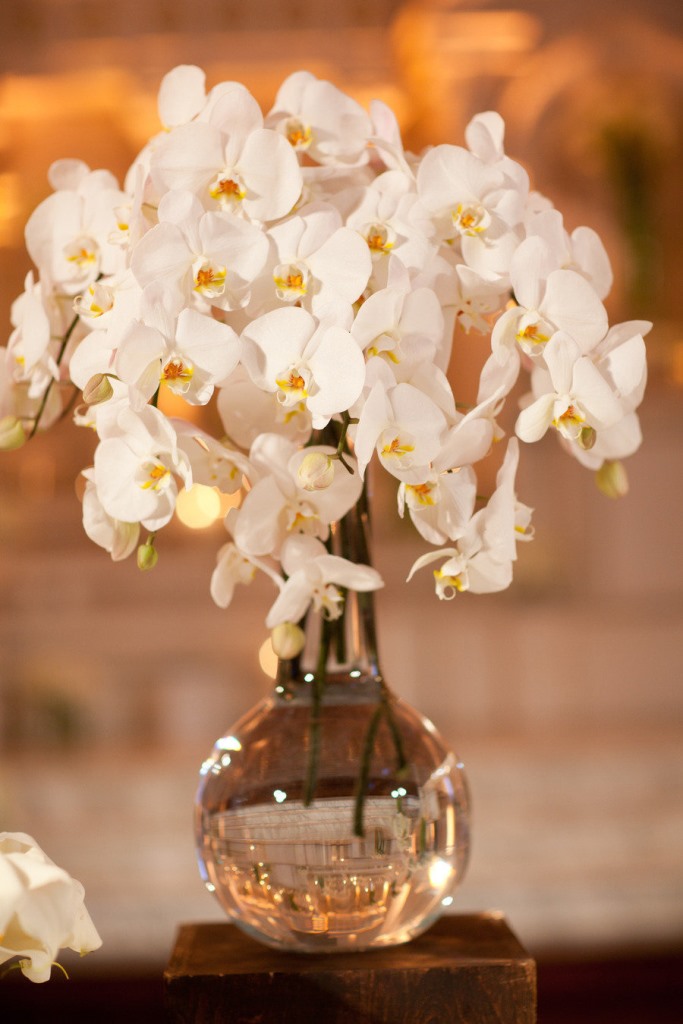 White Orchid Centerpiece