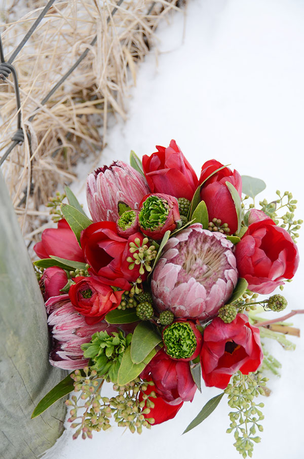 Gorgeous Winter Red bouquet With  Protea- B