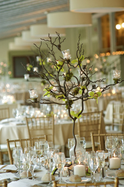 In Love With This Tree And Candle Centerpiece