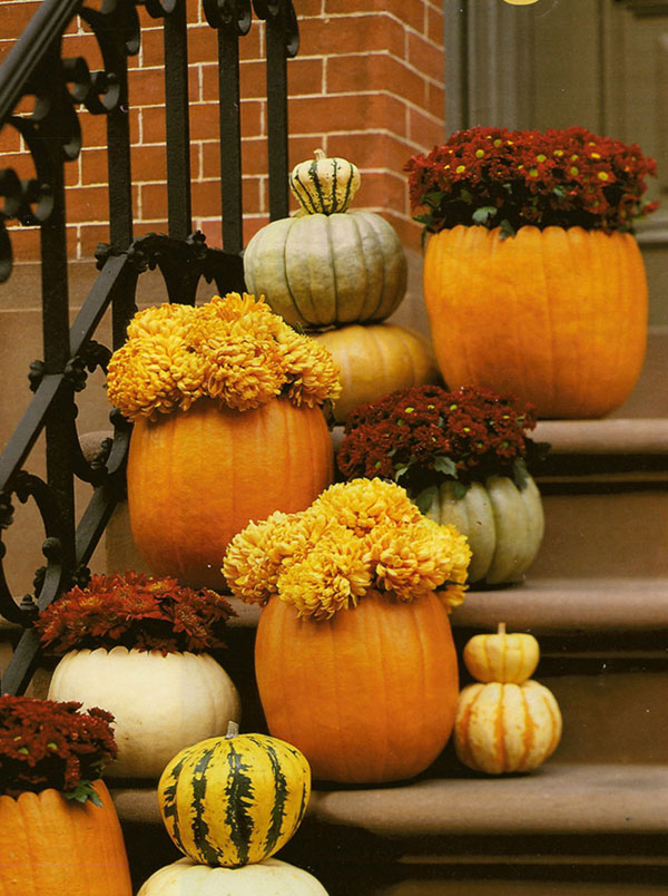 Love these Pumpkins And Mums!