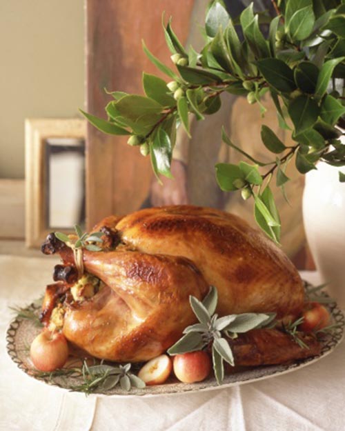 Beautful Thanksgiving Turkey Presentation