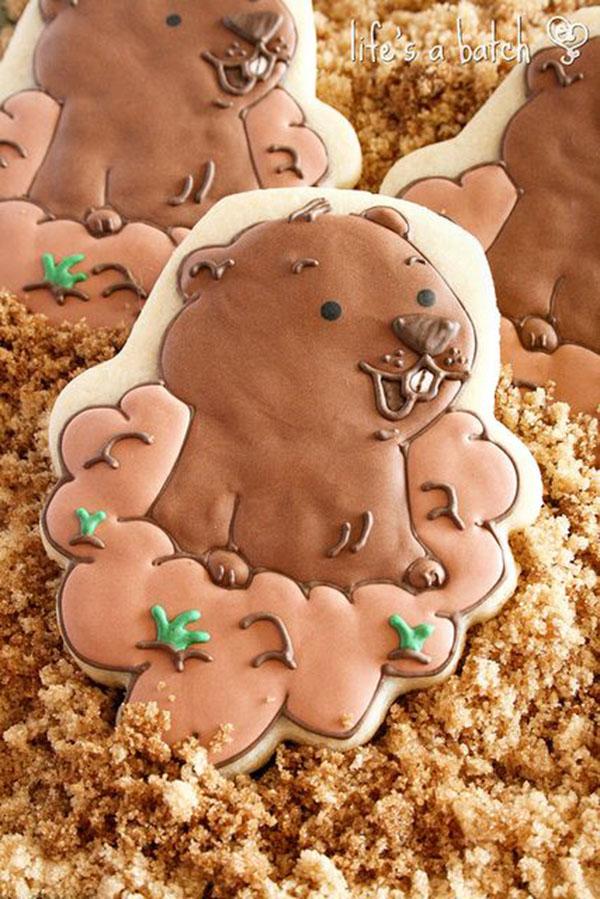 Amazing Groundhog's day cookies!