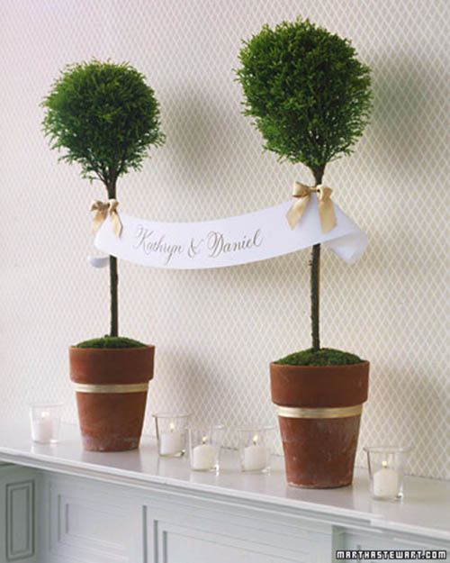 Beautiful Topiary centepiece and decor