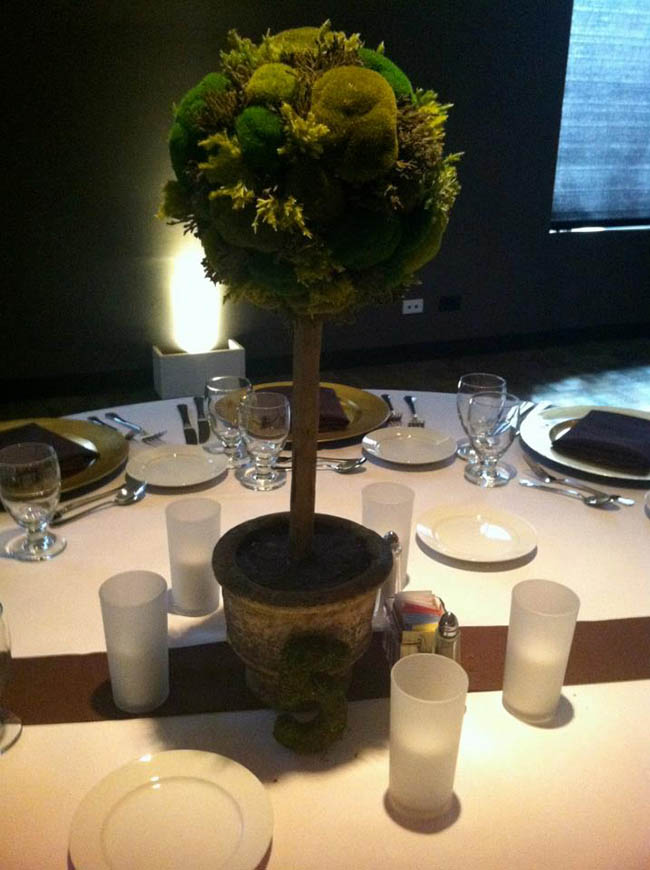 Gorgeous Moss Topiary Centerpiece