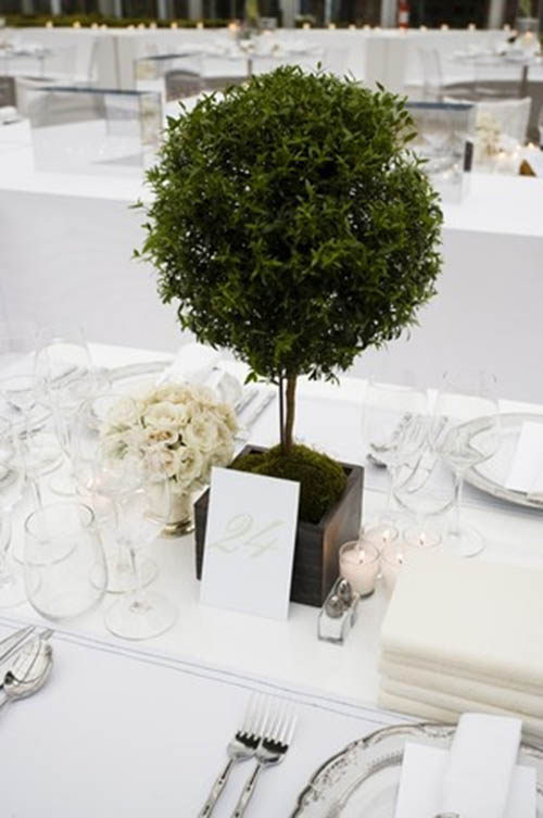 Lovely Topiary Centerpiece