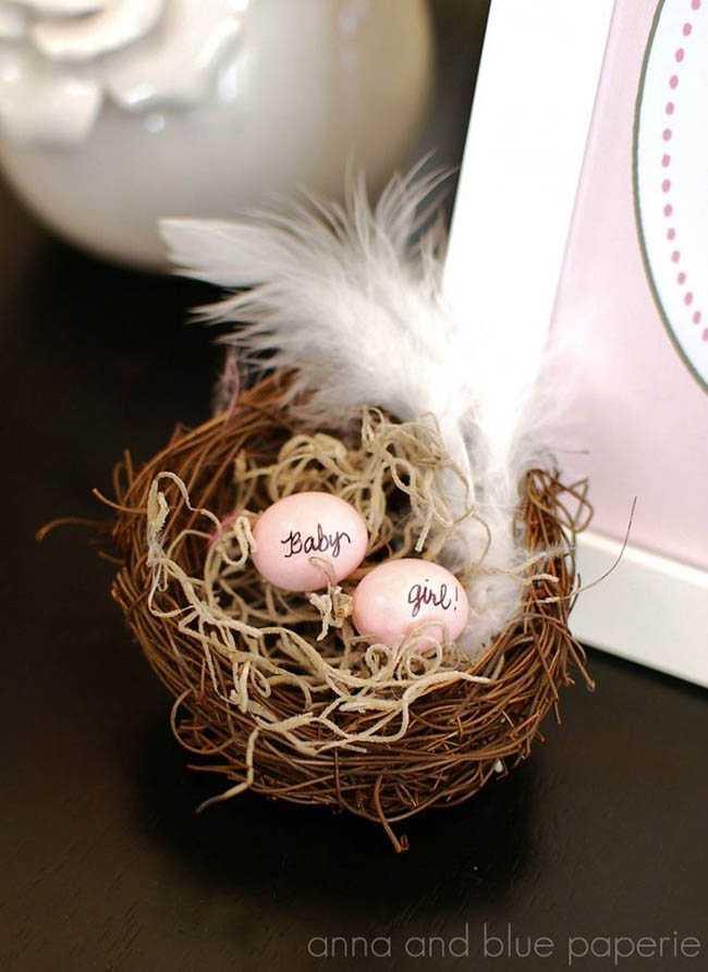 Nest Baby girl baby shower decorations
