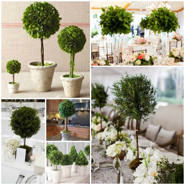 We Love Topiary Centerpieces! - B. Lovely Events