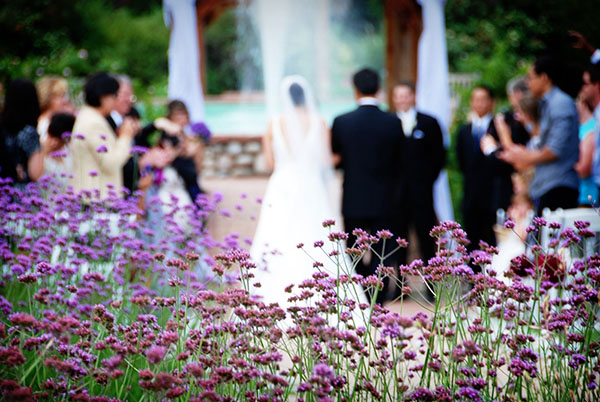 Real Purple and Blue Garden wedding