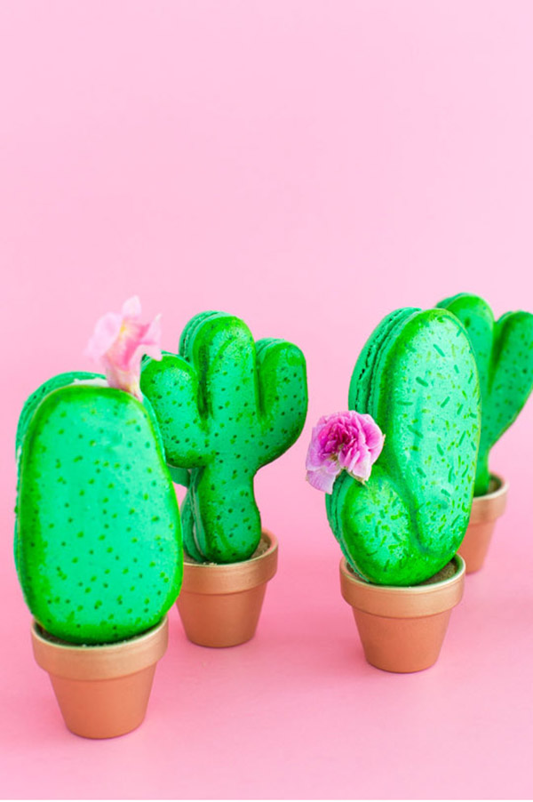 Adorable little catus macaroons!