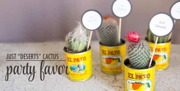 Cactus Party favors!