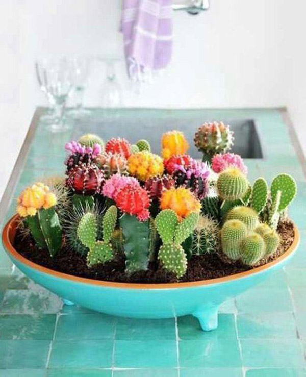 Fun cactus decorations!