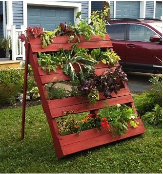 Wood crates as plant holders- great for backyards!