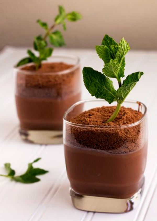 Fun Potted Plant Pudding for Earth Day -See More Earth Day Desserts Ideas At B. Lovely Events