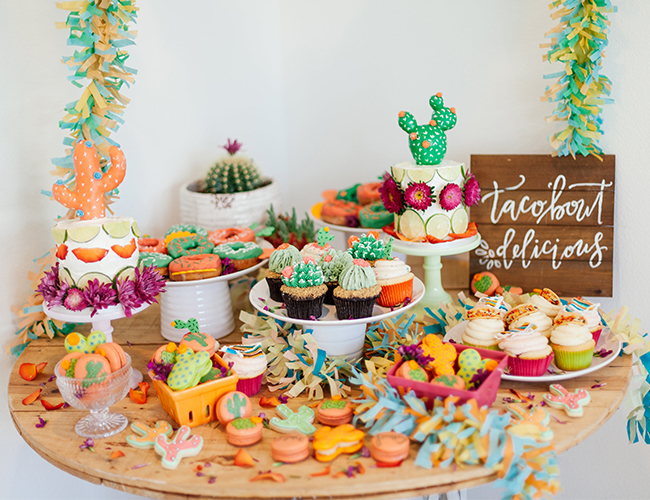 Vibrant Cactus Fiesta Party