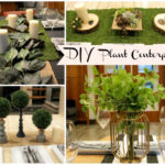 DIY Plant Centerpieces That Are Perfect For All Occasions! -Learn How To Make Them on B. Lovely Events