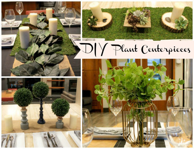 DIY Plant Centerpieces That Are Perfect For All Occasions! -Learn How To Make Them on B. Lovely Events