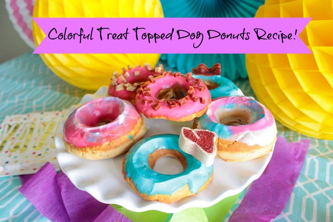 Colorful Treat Topped Dog Donuts Recipe