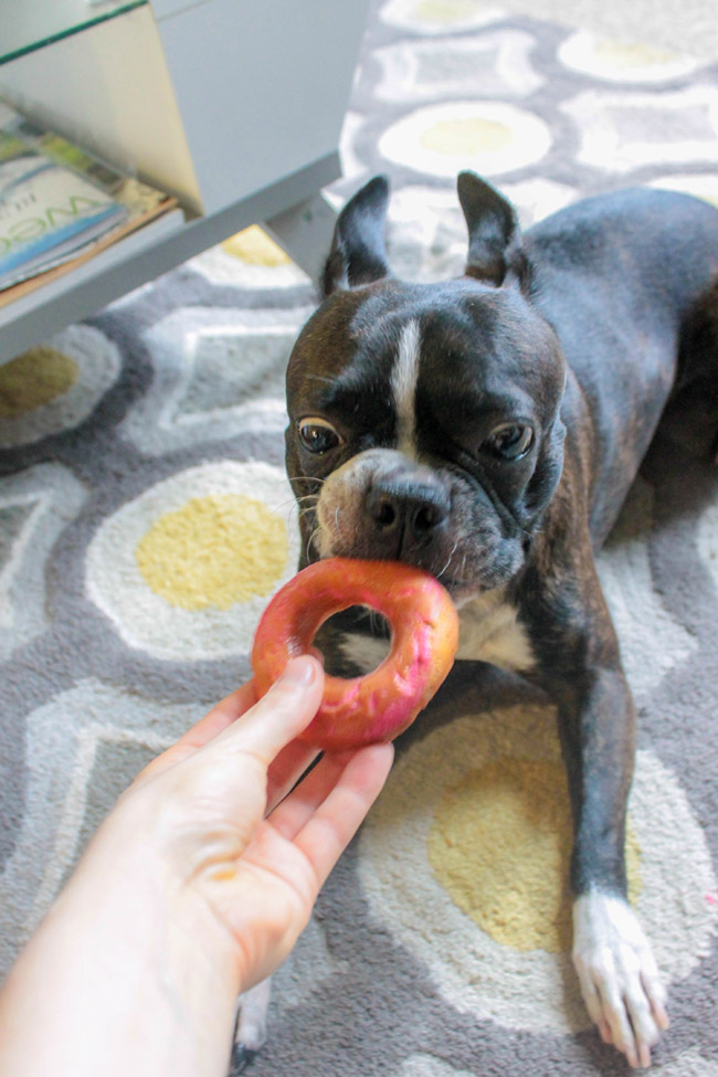 Dog Party Doggie Donuts