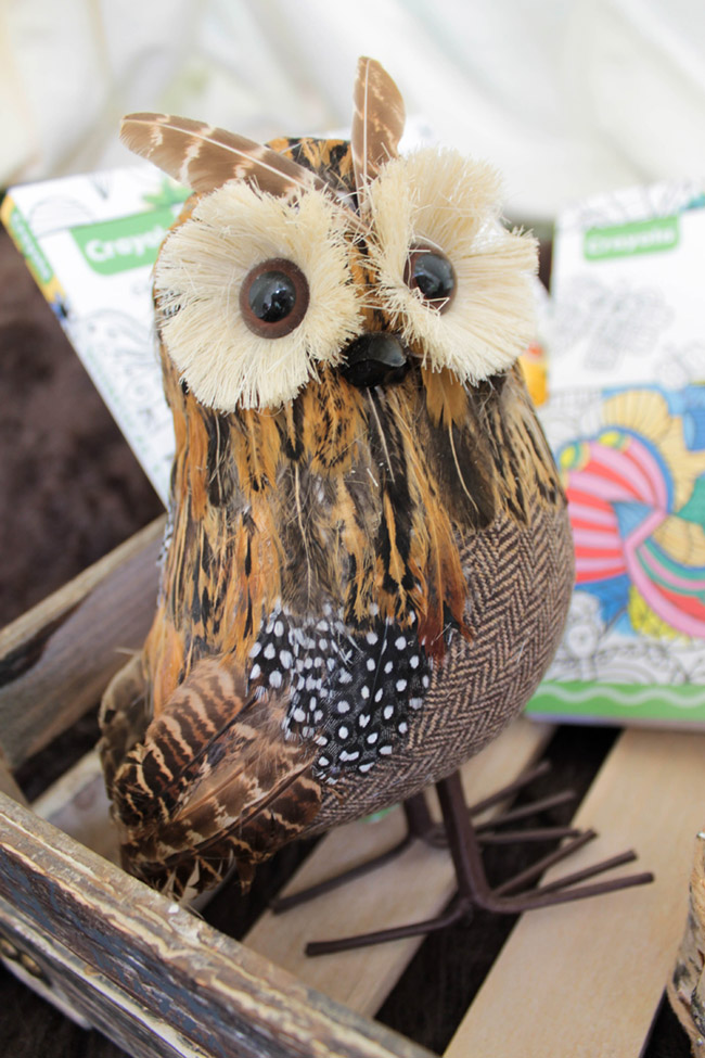 Camping Owl Decorations- See More Lovely Kid's Camp Out Ideas on B. Lovely Events