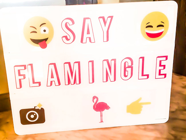 say-flamingle-sign-for-flamingo-party