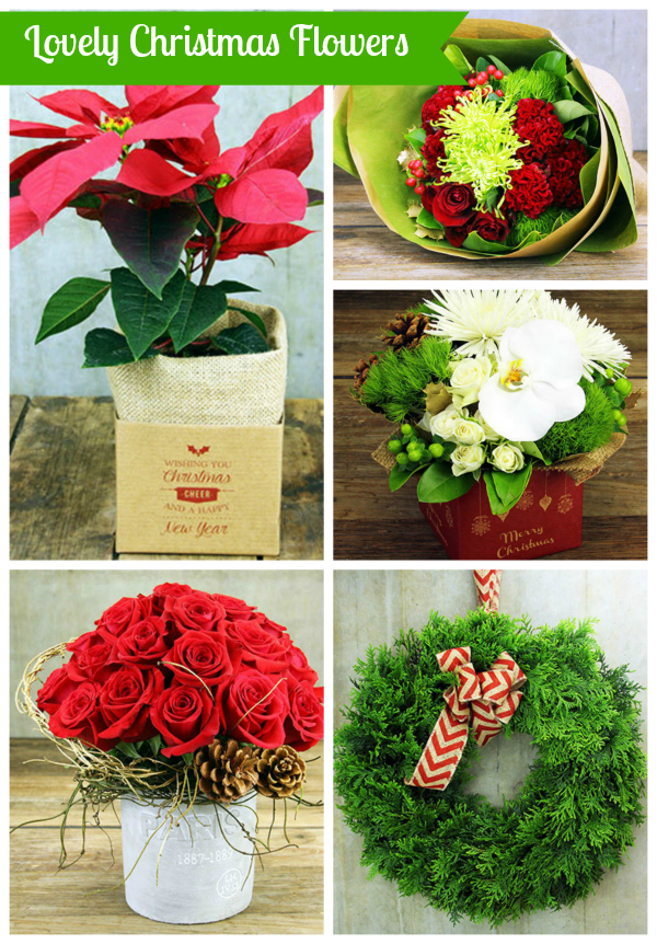Lovely Christmas Flower Ideas from Flowers From Everyone