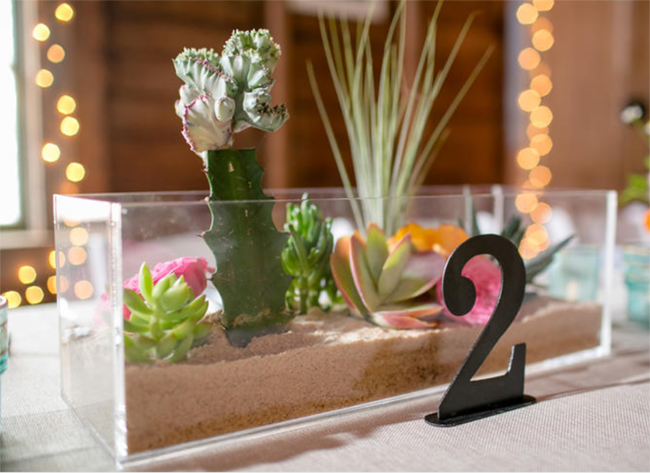 Cactus Centerpiece idea- So cute! - See Lovely & Fun Cactus Ideas on B. Lovely Events