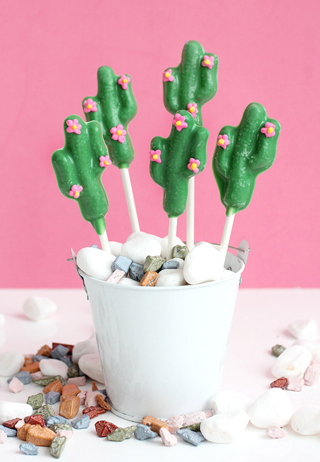 Chocolate cactus pops! Fun - See Lovely & Fun Cactus Ideas on B. Lovely Events