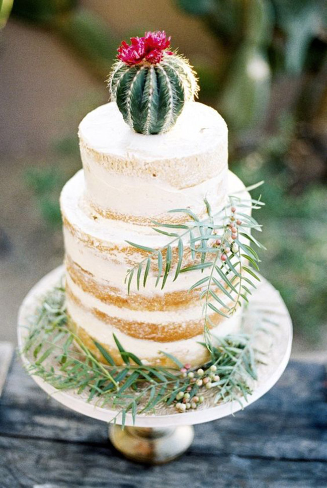 Natural Cake Cactus Ideas - See Lovely & Fun Cactus Ideas on B. Lovely Events