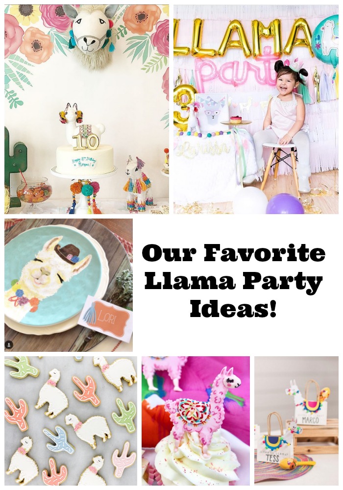Llama party ideas- B. Lovely Events