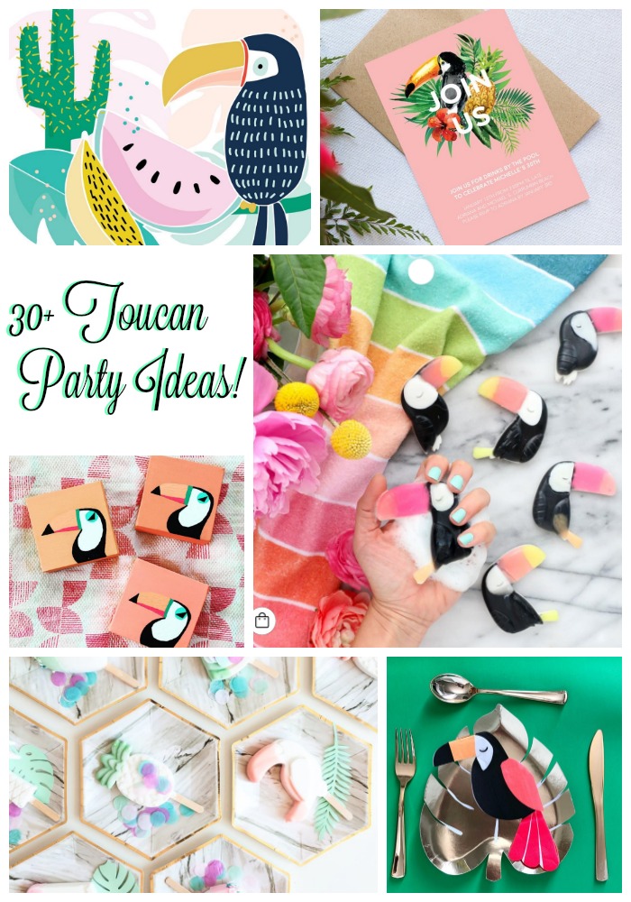30+ Toucan Party ideas on B. Lovely Events!