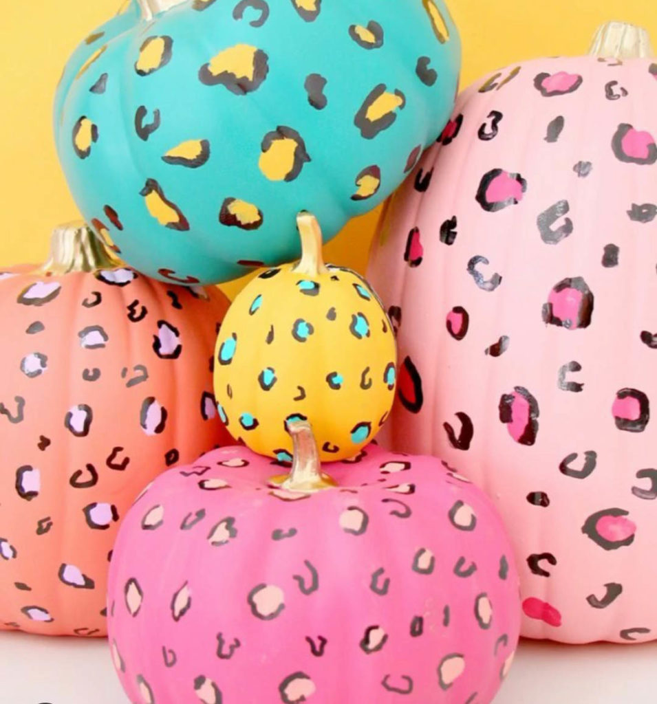 leopard print colorful pumpkins