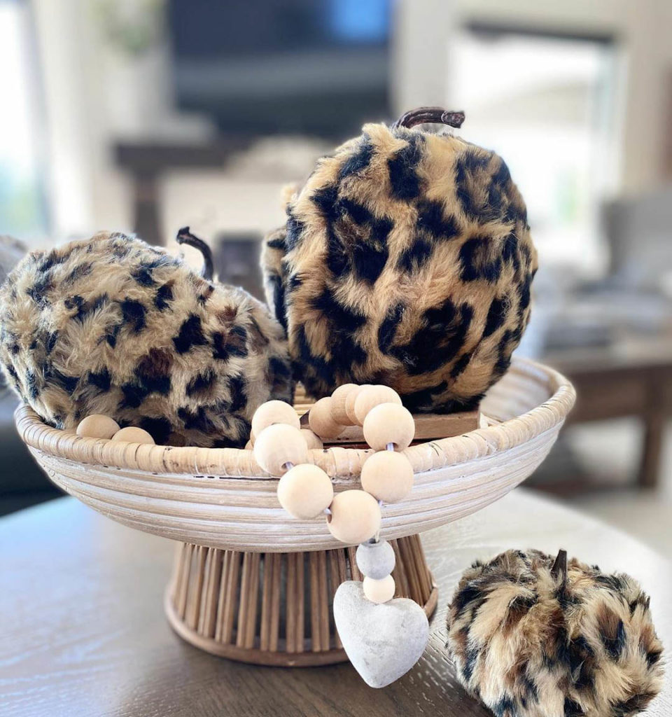 Fuzy fury leopard print pumpkins